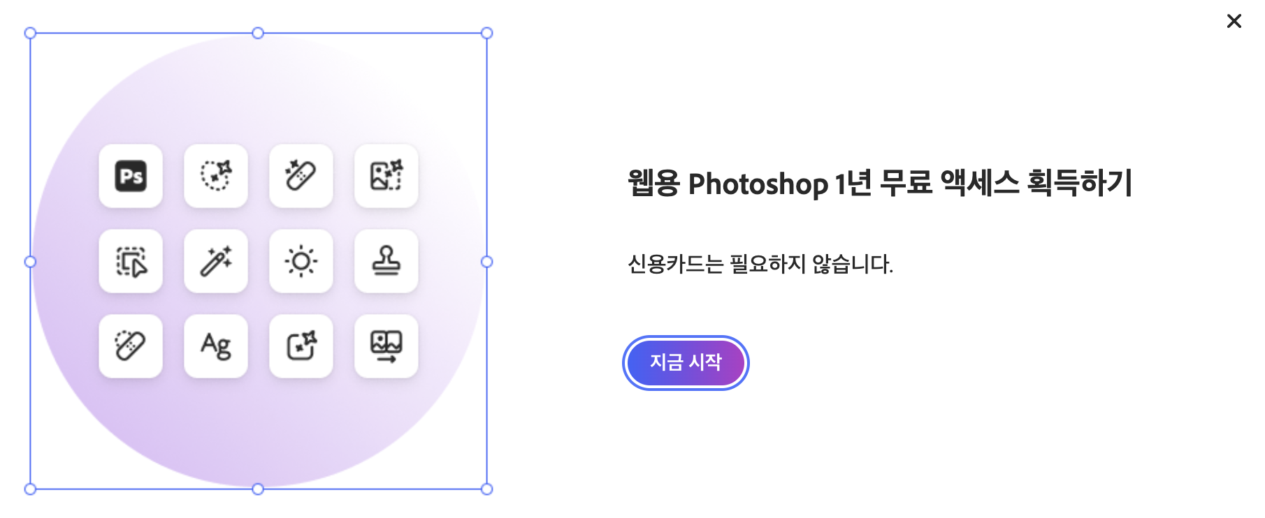 어도비, 웹 포토샵 플랜 1년 무료 제공